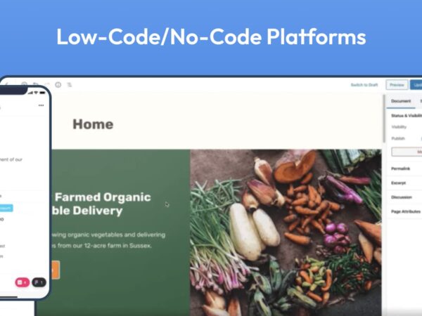 No Code/Low Code App Development: Perspectives, Essentials, and Concerns in 2025